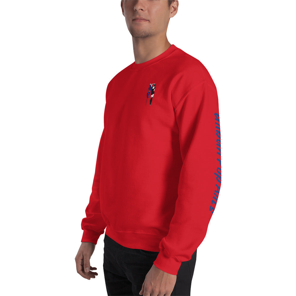 UrbanPopArts Sweatshirt